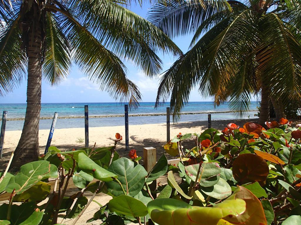 Ababor Suites Guesthouse Vieques Luaran gambar