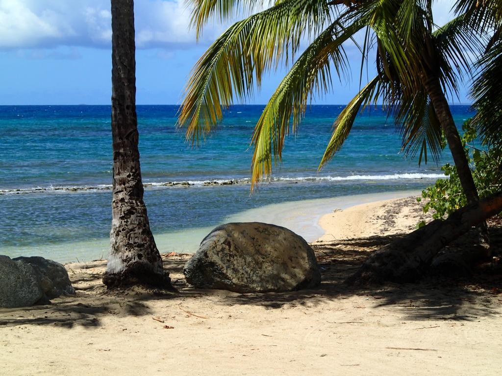 Ababor Suites Guesthouse Vieques Luaran gambar